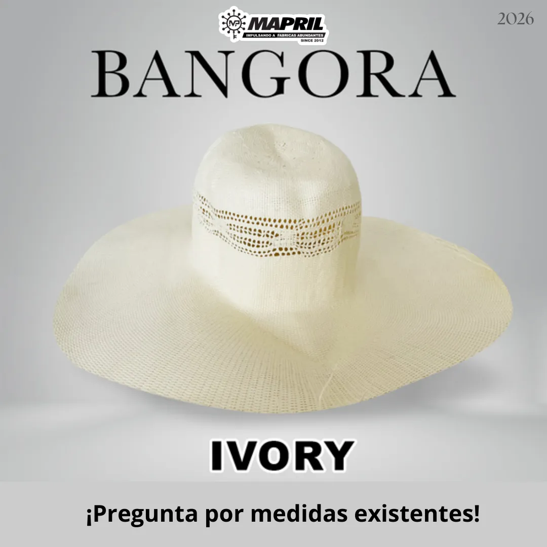Catálogo Bangora 2026 MAPRIL — página 2