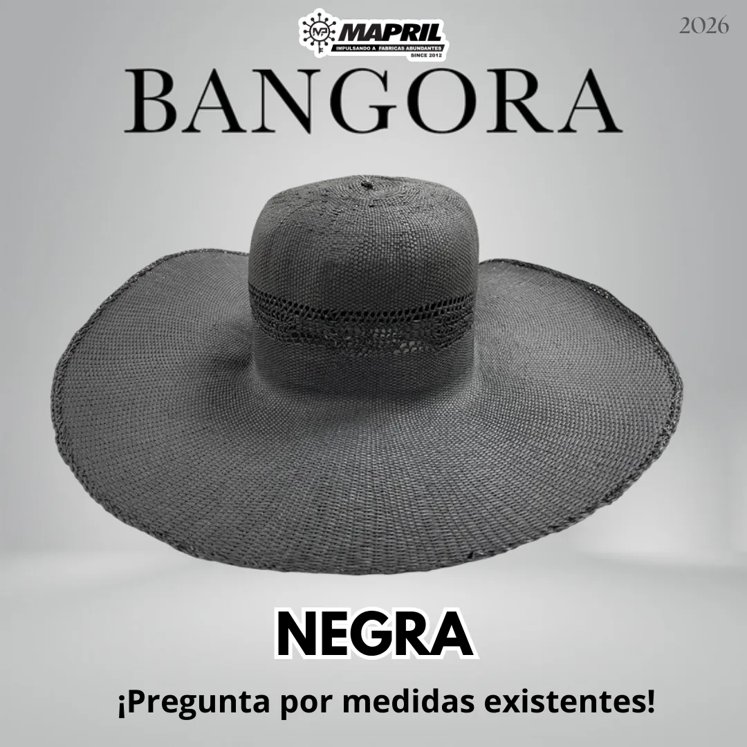 Catálogo Bangora 2026 MAPRIL — página 3