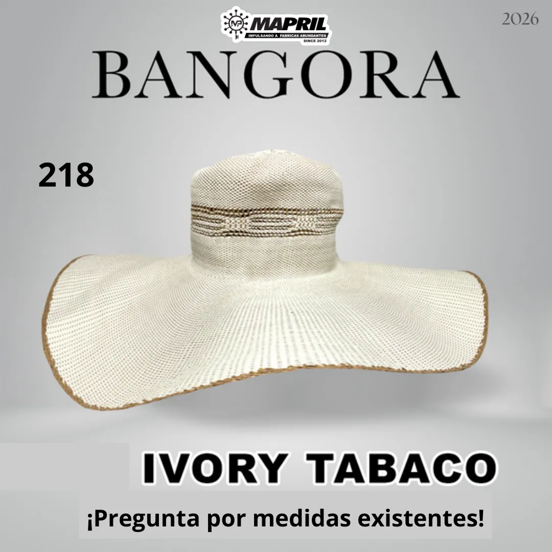 Catálogo Bangora 2026 MAPRIL — página 4