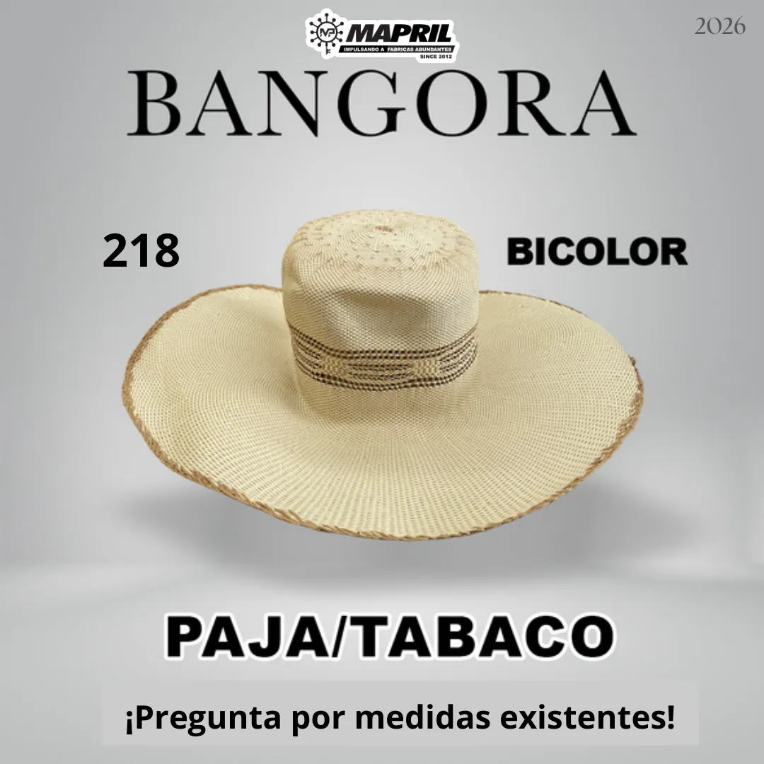 Catálogo Bangora 2026 MAPRIL — página 5
