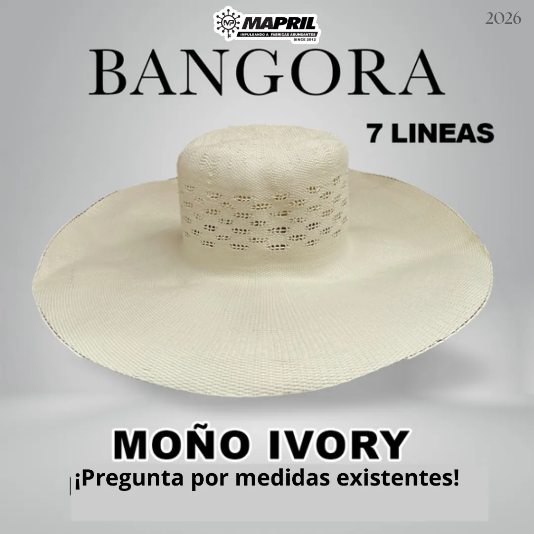 Catálogo Bangora 2026 MAPRIL — página 6