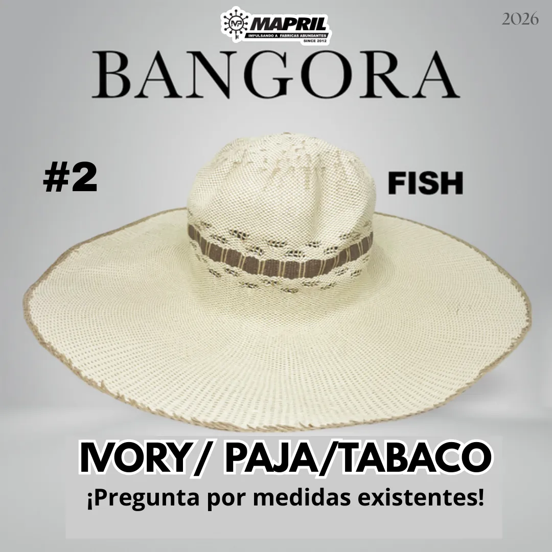 Catálogo Bangora 2026 MAPRIL — página 7
