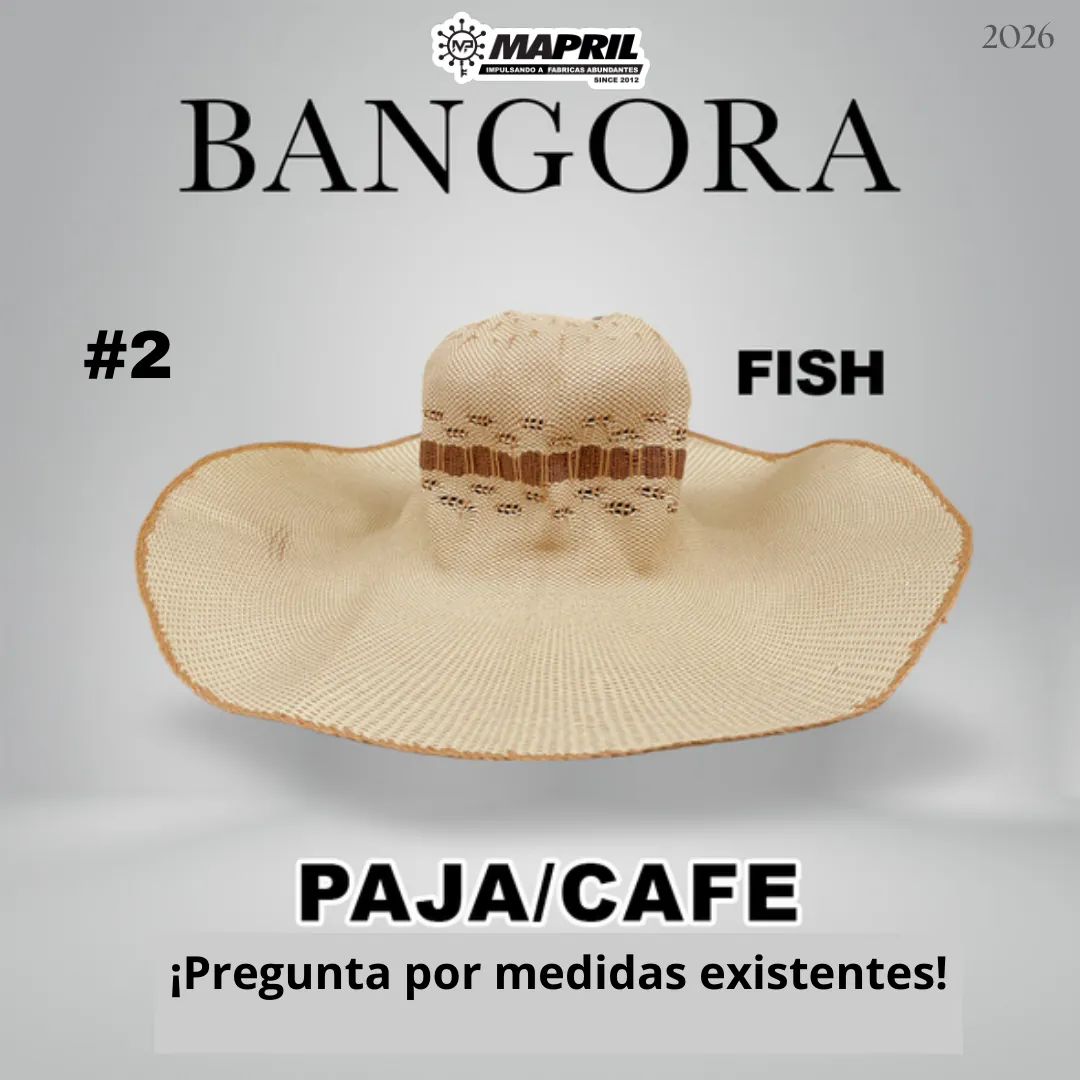 Catálogo Bangora 2026 MAPRIL — página 8