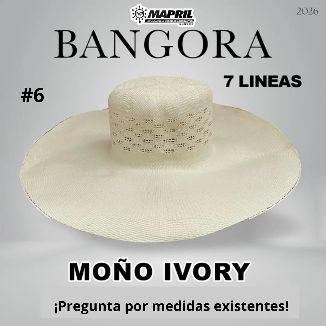Catálogo Bangora 2026 MAPRIL — página 9