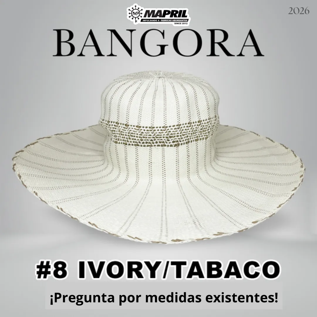 Catálogo Bangora 2026 MAPRIL — página 10