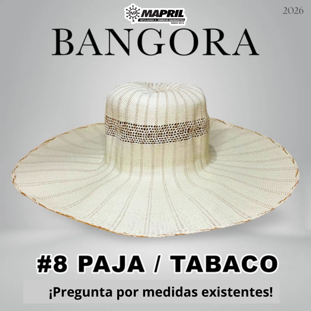 Catálogo Bangora 2026 MAPRIL — página 11