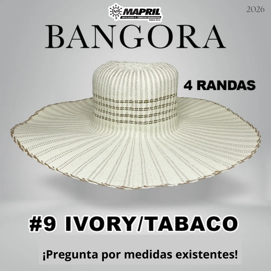 Catálogo Bangora 2026 MAPRIL — página 12