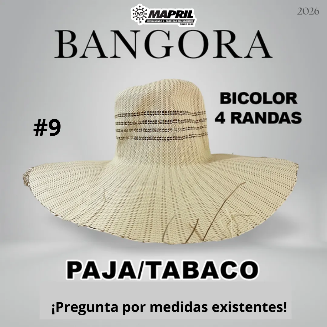 Catálogo Bangora 2026 MAPRIL — página 13