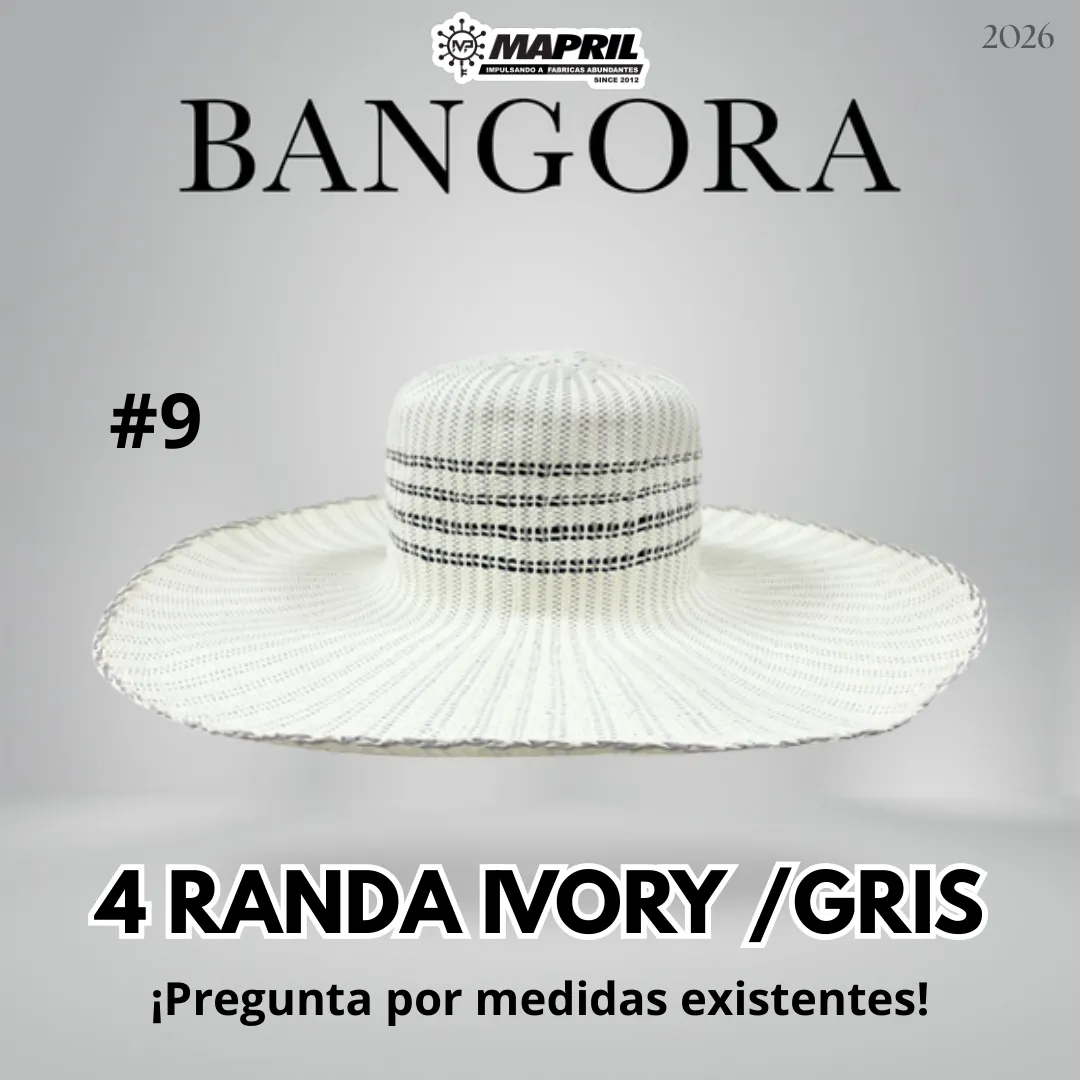 Catálogo Bangora 2026 MAPRIL — página 14