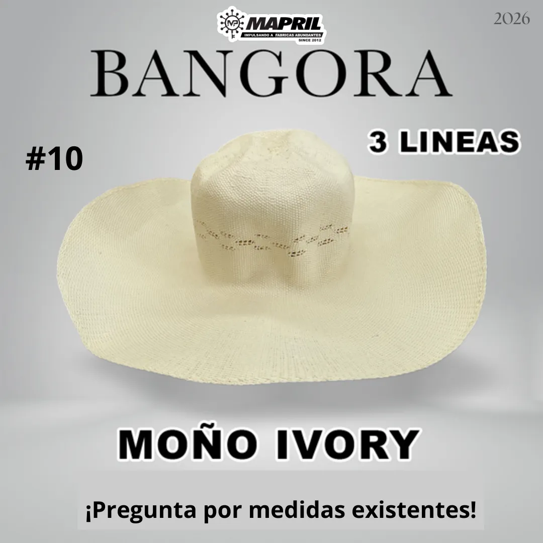 Catálogo Bangora 2026 MAPRIL — página 15