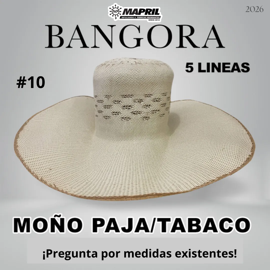 Catálogo Bangora 2026 MAPRIL — página 17