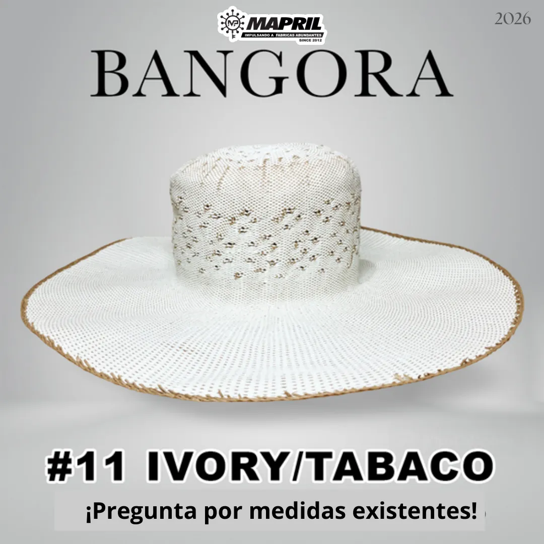 Catálogo Bangora 2026 MAPRIL — página 18