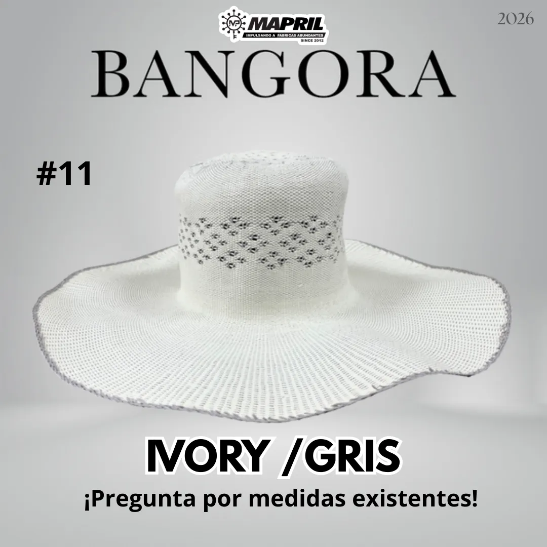 Catálogo Bangora 2026 MAPRIL — página 19