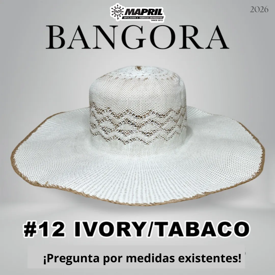 Catálogo Bangora 2026 MAPRIL — página 20