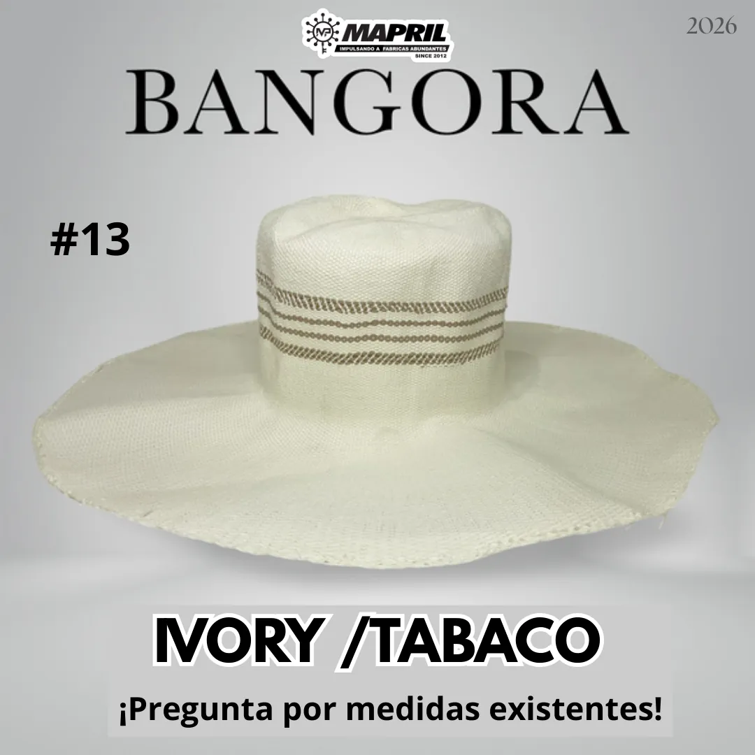 Catálogo Bangora 2026 MAPRIL — página 21