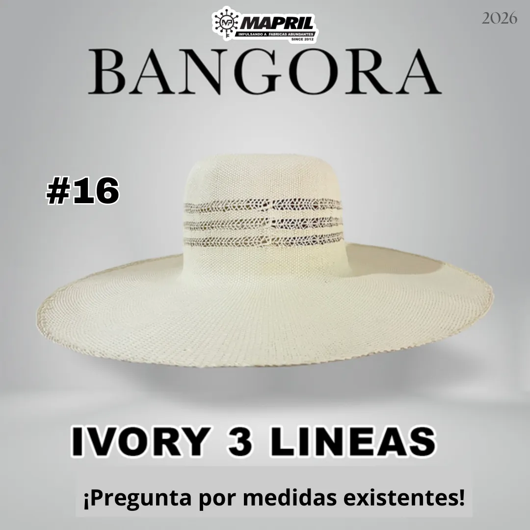 Catálogo Bangora 2026 MAPRIL — página 22