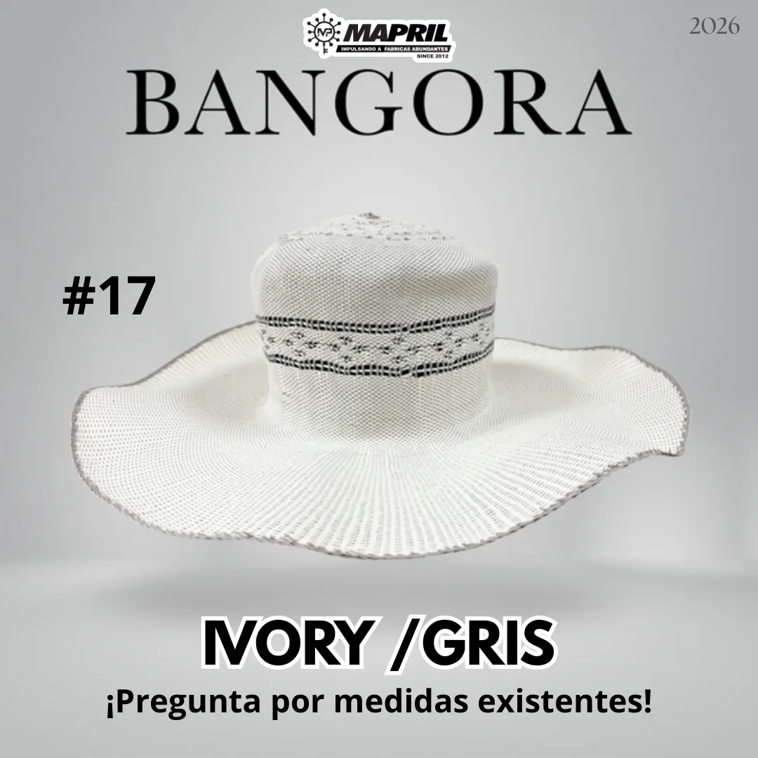 Catálogo Bangora 2026 MAPRIL — página 23