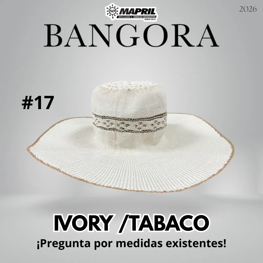 Catálogo Bangora 2026 MAPRIL — página 24