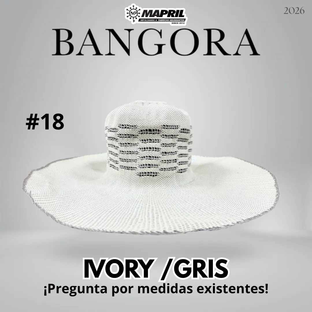 Catálogo Bangora 2026 MAPRIL — página 25