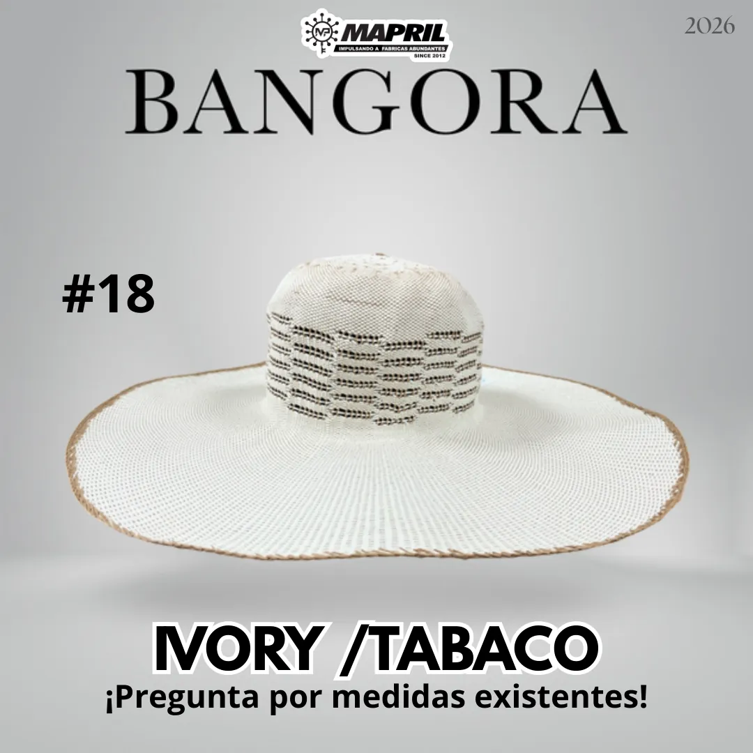 Catálogo Bangora 2026 MAPRIL — página 26