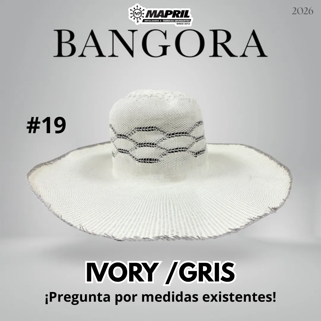 Catálogo Bangora 2026 MAPRIL — página 27