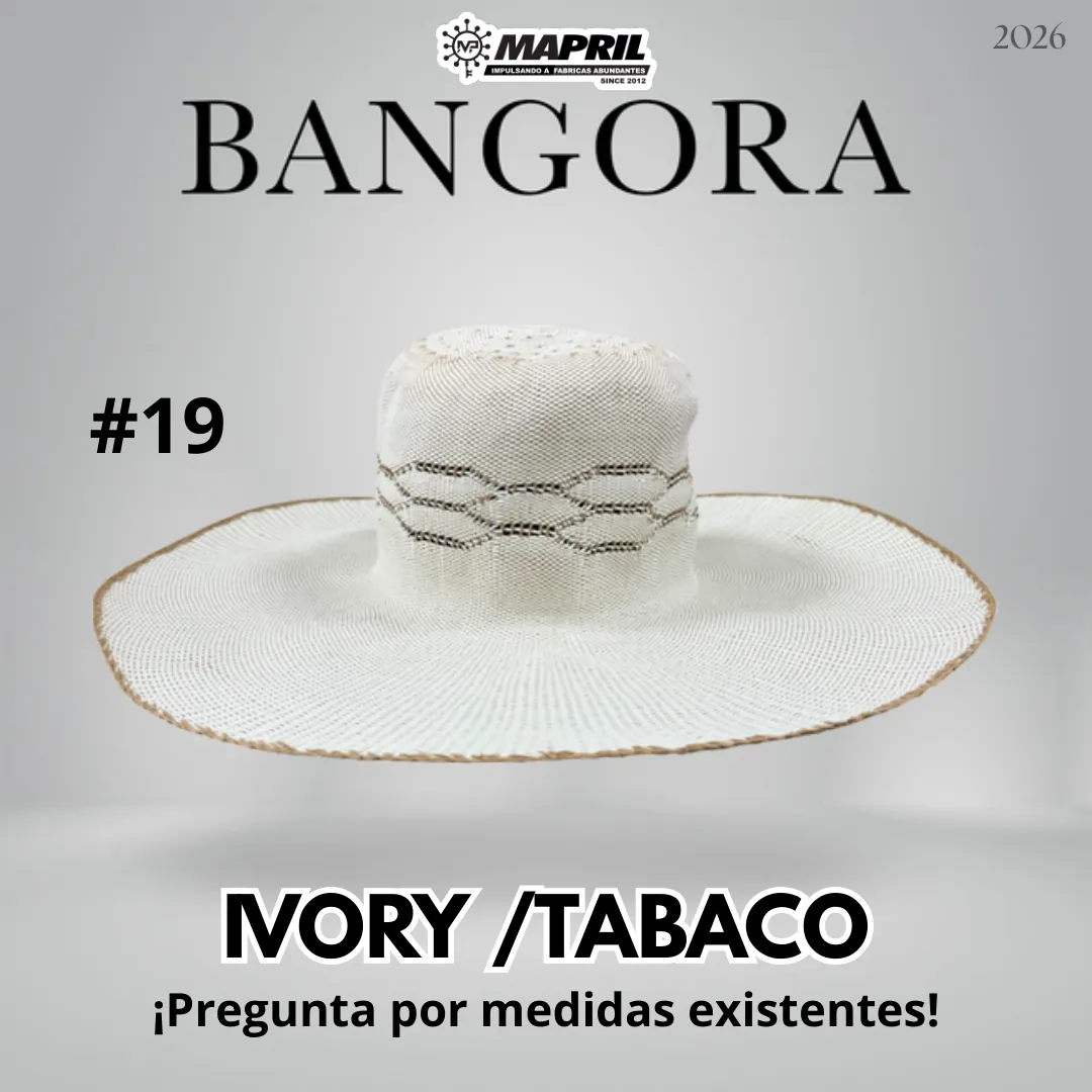 Catálogo Bangora 2026 MAPRIL — página 28