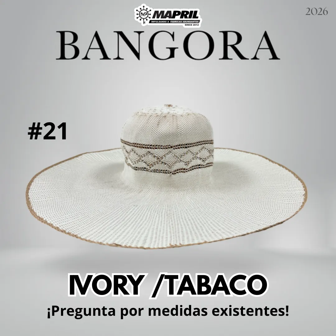 Catálogo Bangora 2026 MAPRIL — página 29