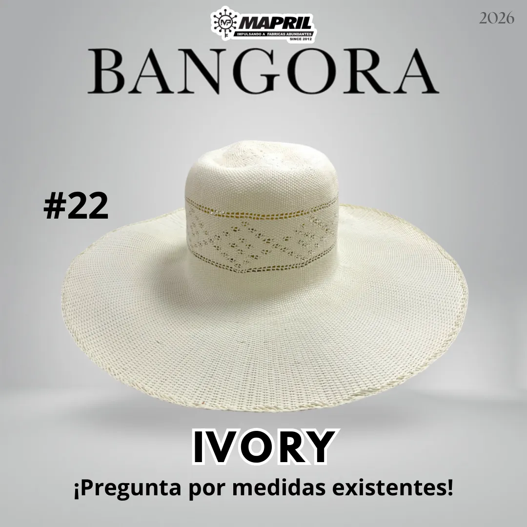 Catálogo Bangora 2026 MAPRIL — página 30