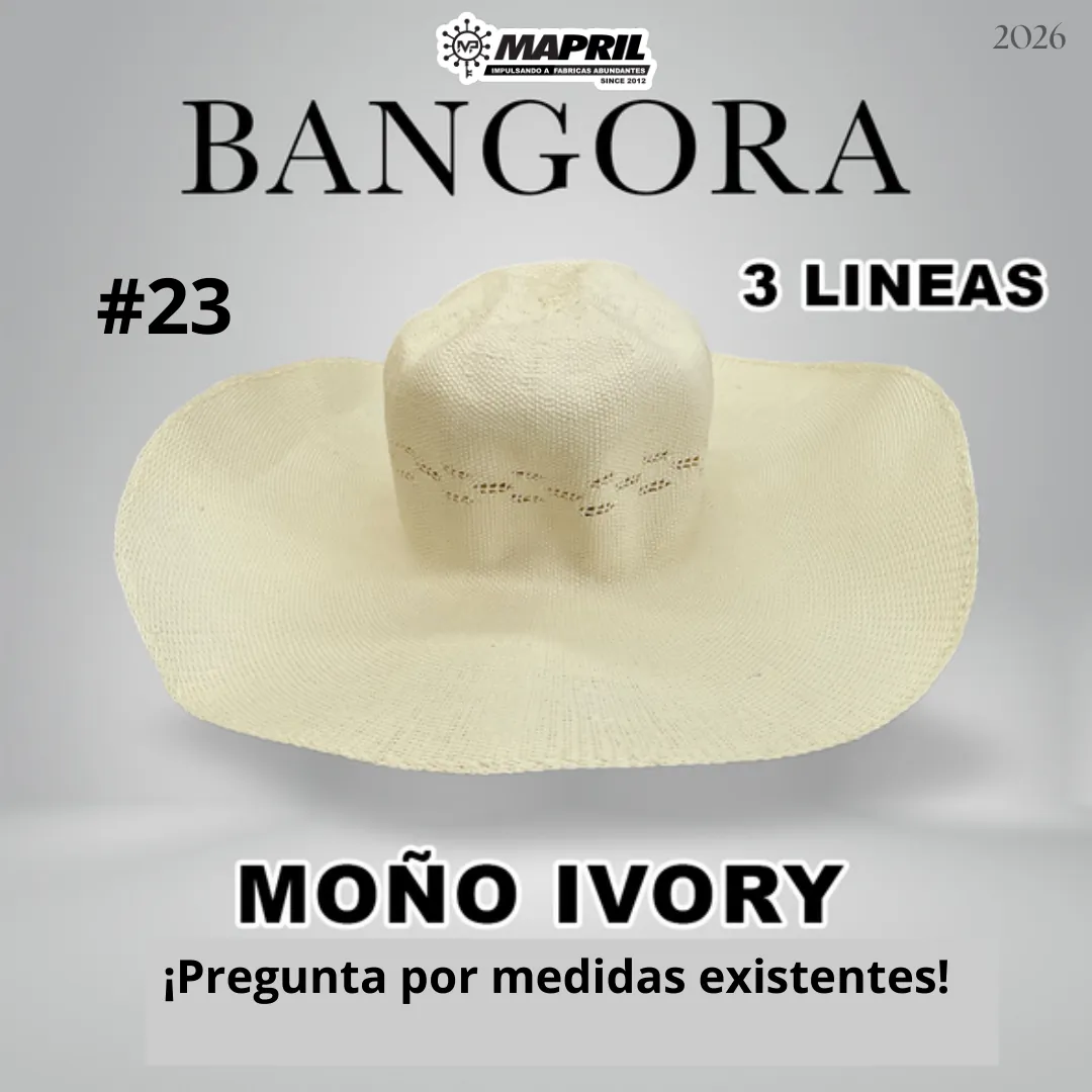 Catálogo Bangora 2026 MAPRIL — página 31
